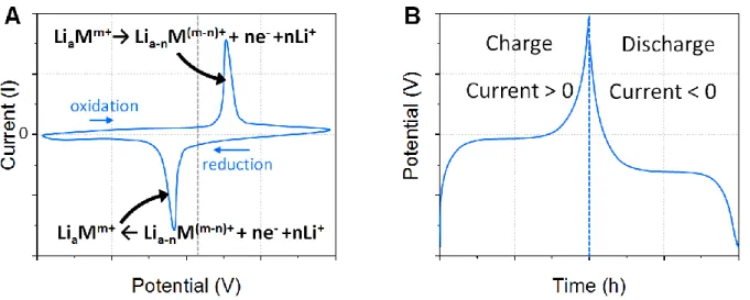 Figure I.3: Typical behavior of a lithium-ion battery material during cyclic voltammetry (A) 