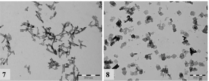 Figure 5. Images MET des échantillons 7 et 8 