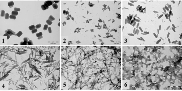 Figure 2. Images MET des échantillons 1-6 