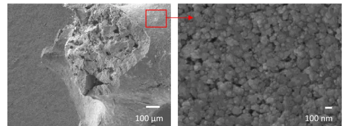 Figure 30 : micrographies issues de l’analyse par microscopie électronique à balayage des mousses  de SiC 