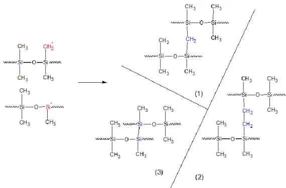 Figure I.21 – Réactions de réticulation décrites par Charlesby (1 et 2) [141] et Miller (3) [142],   impliquant les radicaux       et     