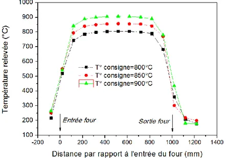 Figure 2.3 : Profil thermique du réacteur avec un débit d’argon de 3,0 L/min [Patel, 2013] 