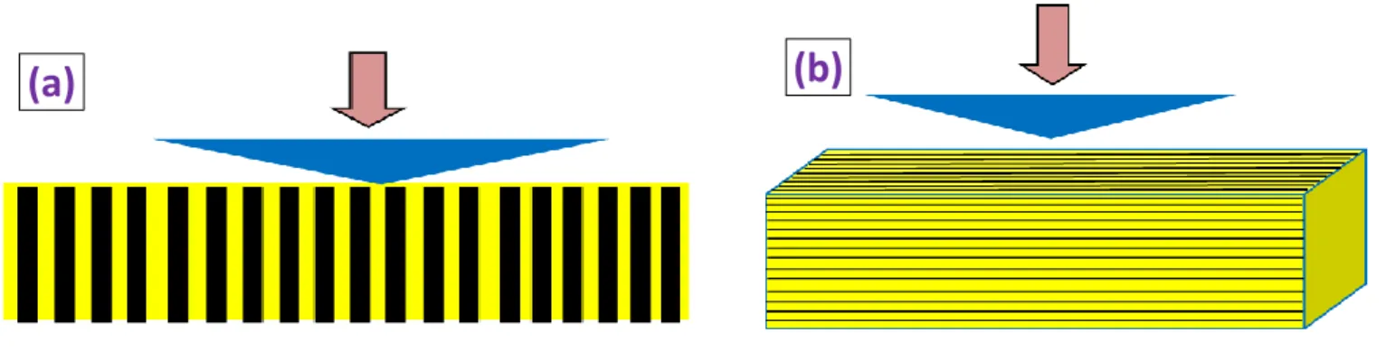 Figure 2.10: schématisation de l’indentation de nanocomposites « tapis de NTCs alignés / époxy » …  (a)  longitudinalement à l’axe principal des NTCs  sur une face ; 