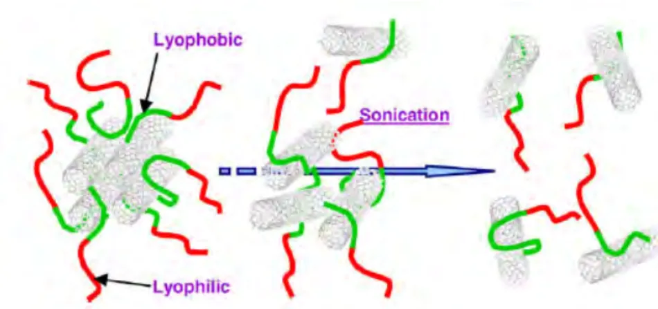 Figure 1.4  Suspension of CNTs in solution with block copolymers [23] Covalent Functionalization