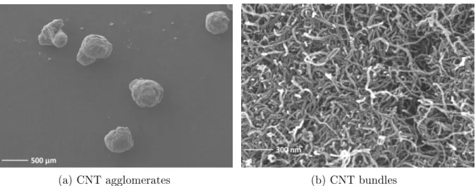 Figure 2.4  SEM observations of CNT aglomerates of Arkema's Graphistrentgh MWC- MWC-NTs)