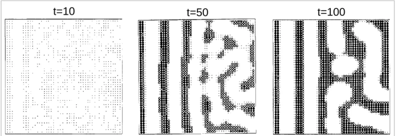 Figure 1-21: Couches alternées de deux phases formées près de la surface externe   (t : temps réduit) [78] 
