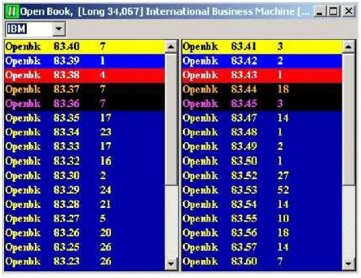 Figure 1.1: New York Stock Exchange open book for the stock IBM. Source: www.ndxtrading.com/interactivedemo