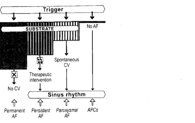 Figure  2.  Relations  entre  les  différentes  formes  de  fibrillation  auriculaire  (FA)