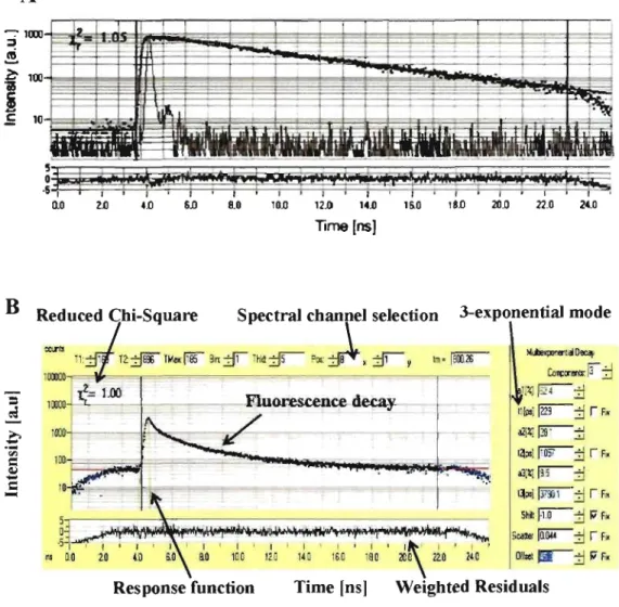 Figure  12:  Analysis  of fluorescence  decay.  A:  single-exponential  fluorescence  decay  of  DPA  in  ethanol  in  one  selected  spectral  channel  detected  by  the  P:ML-16  detector  after  excitation  with  375  nm  pico-second  laser  148  Instru