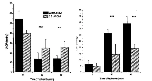 Figure  7:  Effet  de  la  CsA  sur  la  fonction  contractile  du  cœur  soumis  à  une 