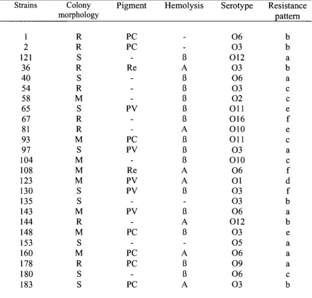 Table  1.  Phenotyping results of  P.  aeruginosa  isolates from CFP 