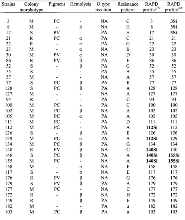Table Il.  Phenotyping and genotyping results of  P.  aeruginosa  isolates from CFP 