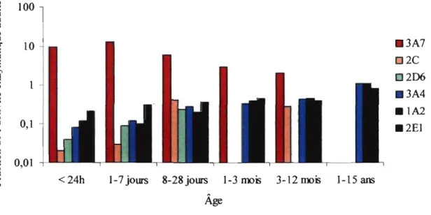 Figure  2.  Fraction  de  l'activité  enzymatique  de  quelques  isoformes  de  CYP  retrouvés  dans les microsomes hépatiques d'enfants de différentes tranches d'âge (lPCS 2006)