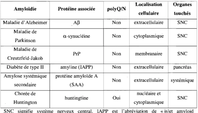 Tableau 1 : Description de quelques amyloïdies et de leur protéine amyloïde associée.  Localisation  Organes  Amyloïdie  Protéine associée  polyQIN 
