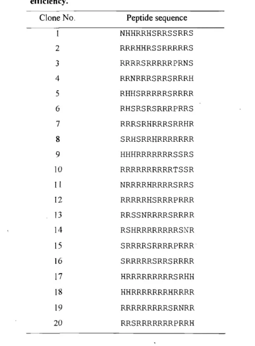 Table 2.  Sequence of the 20 most efficient selected  peptides  reducing  HIV-l  group  M  frameshift  efficiency