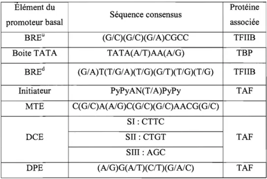 Tableau 1 : Facteurs généraux de la transcription associés au promoteur basal. 