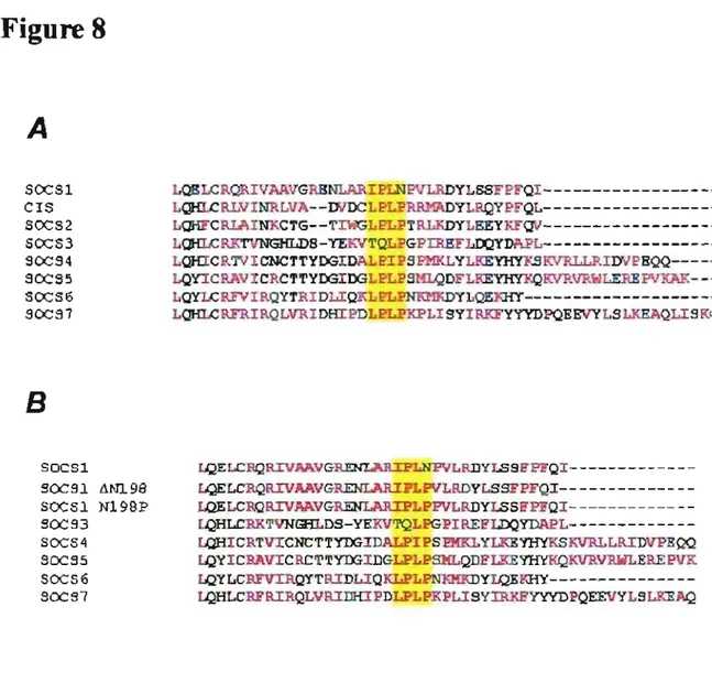 Figure 8  A  SOCSl  crs  SOCS2  SOCS3  9OC94  SOCS5  SOCS6  SOCS7  B  SOCSl  SOCSl  SOCSl  SOCS3  SOCS4  SOCS5  SOCS6  SOCS?  âN19S  N198P 