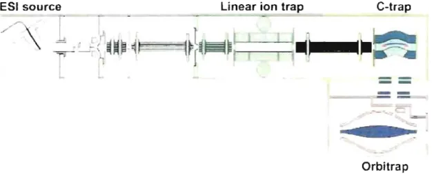Figure  1 . 11:  A schematic representation of the LTQ-Orbitrap mass spectrometer [73]