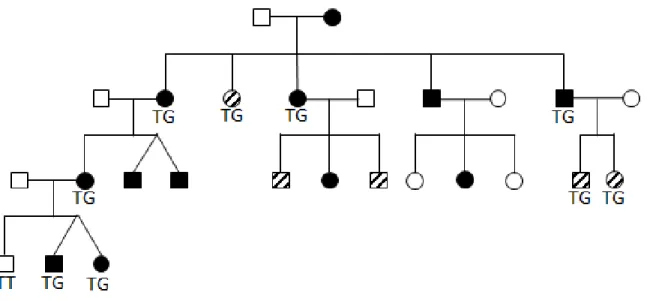Figure  4 :  Pédigrée  de  la  famille  FSPAT6.  Les  individus  en  noir  sont  cliniquement  atteints
