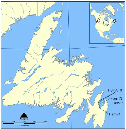 Figure  S1 :  Carte  géographique  de  Terre-Neuve  (Canada).  Le  carré  indique  la  localisation de la province