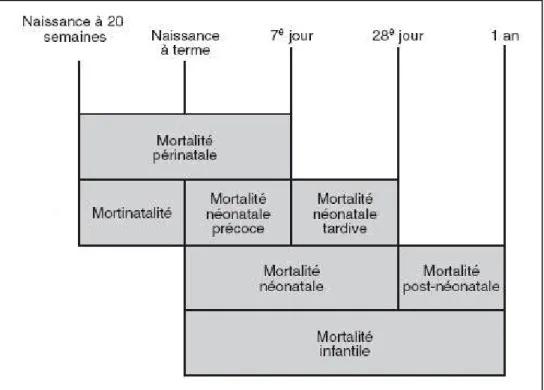 Figure 3.2.2 : Les indicateurs de mortalité infantile 