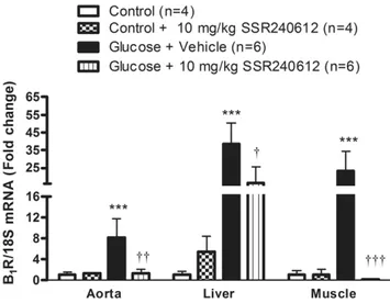 Figure 5. B 1 R mRNA levels in aorta, liver and skeletal muscle after orally administered SSR240612 (10 mg/kg/day for 7 days)