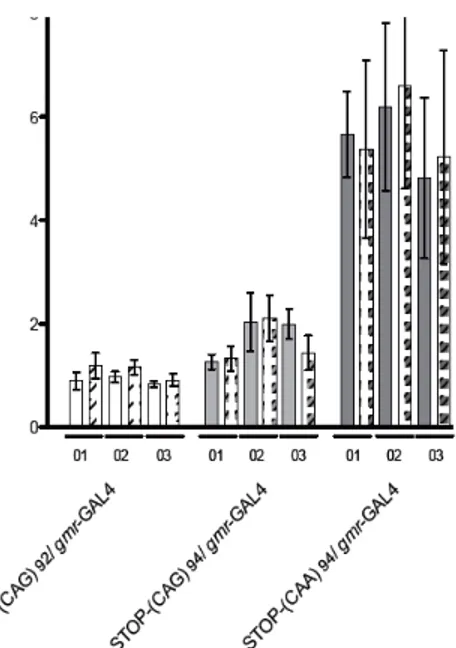 Figure	
  5:	
  Quantification	
  de	
  l’ARNm	
  par	
  méthode	
  Taqman.	
  Pour	
  toutes	
  les	
   lignées	
  transgéniques,	
  l’ARNm	
  a	
  été	
  quantifié	
  par	
  la	
  méthode	
  Taqman	
  en	
   utilisant	
  deux	
  sondes	
  spécifiques	
  pour	
  l’ATXN3	
  (la	
  sonde	
  (HS01026447_n1)	
   est	
  représentée	
  par	
  les	
  colonnes	
  unies	
  alors	
  que	
  la	
  sonde	
  (HS00245259_n1)	
   est	
   représentée	
   par	
   les	
   colonnes	
   avec	
   motifs).	
   Les	
   lignées	
   STOP	
   ont	
   un	
   niveau	
  d’ARN	
  plus	
  élevé	
  que	
  les	
  lignées	
  CAG 92	
   donc	
  le	
  niveau	
  d’expression	
   ne	
  peut	
  causer	
  l’absence	
  de	
  phénotype.	
  	
  