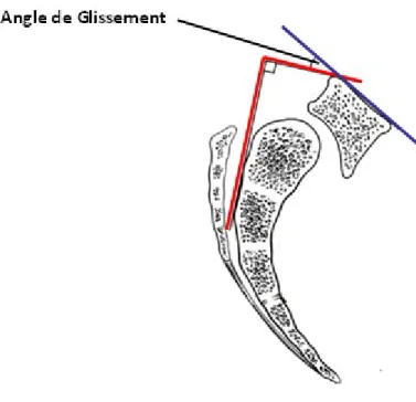 Figure 5 – Angle de glissement. 