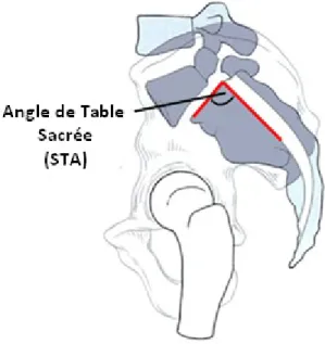 Figure 7 – Angle de table sacrée (STA). 