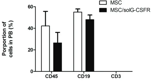 Figure A.1.2: Injection of conditioned media containing solG-CSFR decoy did  not improve hematopoietic reconstitution post IR in NOG mice model