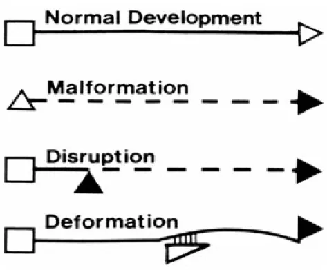 Figure 1 :   Schéma illustrant les différents types d'erreurs de la morphogenèse par Judith G