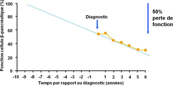 Figure 2: La perte de fonction de la cellule β-pancréatique dans le DT2.  