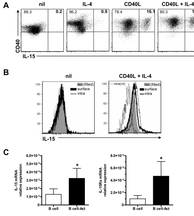 Fig 5: Specificity of the upregulation of IL-15 on B cells via stimulation of CD40 using  NIH-3T3 CD40L-expressing cells