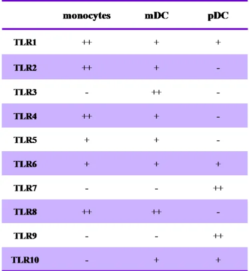 Tableau 4 : Expression des TLR par les différentes sous-populations de cellules  dendritiques humaines et par les monocytes