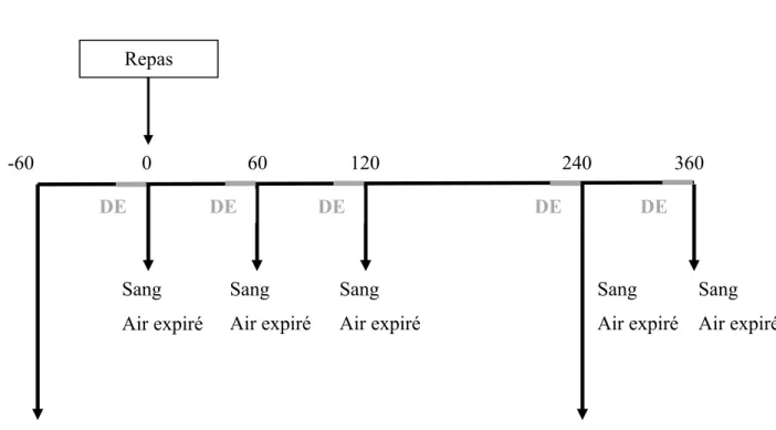 Figure 1. Déroulement de la sixième visite – Journée du repas test  