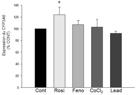 Figure 14. Expression du CYP3A6 (exprimée en % par rapport au contrôle – Cont) mesurée dans des 
