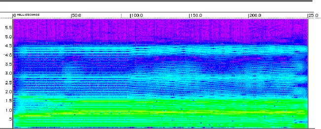 Figure  3.  Spectre  acoustique  de  la  syllabe  /da/  représenté  par  l’étendue  fréquentielle  (en kHz) en fonction de sa durée (en millisecondes)