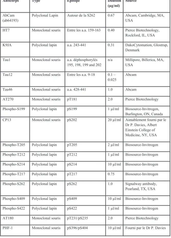 Tableau I. Liste des anticorps dirigés contre Tau et dilution utilisée pour immunobuvardage