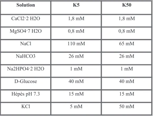 Tableau II. Constituants des solutions K5 et K50 dilués dans l’eau. Solution K5 K50 &amp;D&amp;Oǜ+2 1,8 mM 1,8 mM 0J62ǜ+2 0,8 mM 0,8 mM NaCl 110 mM 65 mM NaHCO3 26 mM 26 mM 1D+32ǜ+2 1 mM 1 mM D-Glucose 40 mM 40 mM Hépès pH 7.3 15 mM 15 mM KCl  5 mM 50 mM