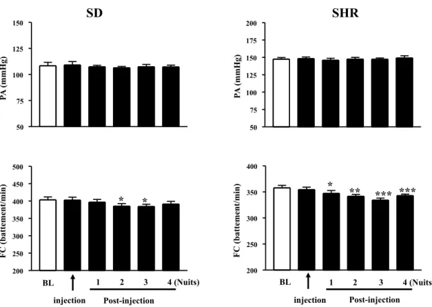 Fig. 7. Variations nocturnes de la pression artérielle moyenne et de la fréquence cardiaque chez les rats SD (à gauche)        n = 10 et SHR (à droite) n = 10 suite à une injection unique en i.v