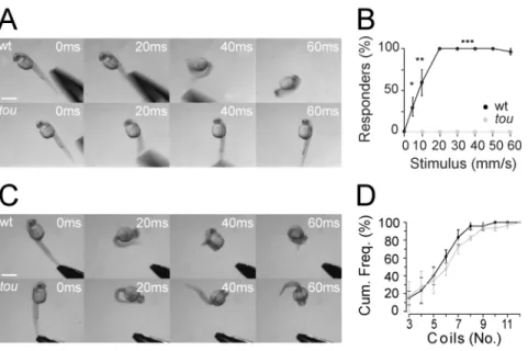 Figure 1. (tirée Low et al 2010, Figure 1) Figure 1: Touché mutants fail to respond 