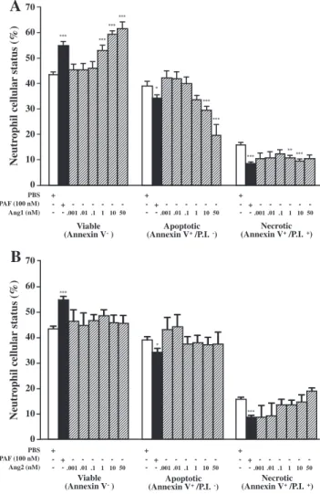 Fig. 1. Effect of angiopoietins on neutrophil viability in a concentration-dependent man- man-ner