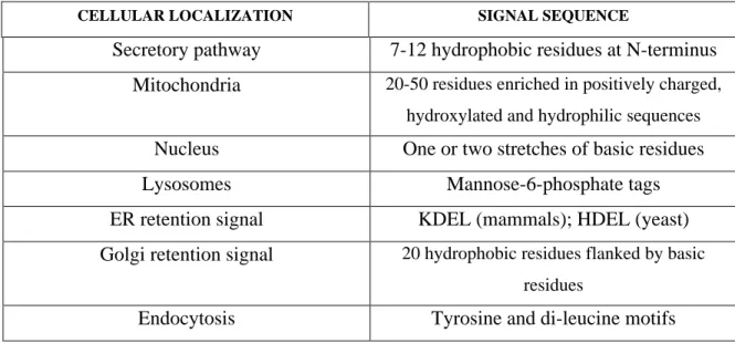 Table  1.1:  Examples  of  canonical  sorting  signals  identified  for  specific  cellular  compartment