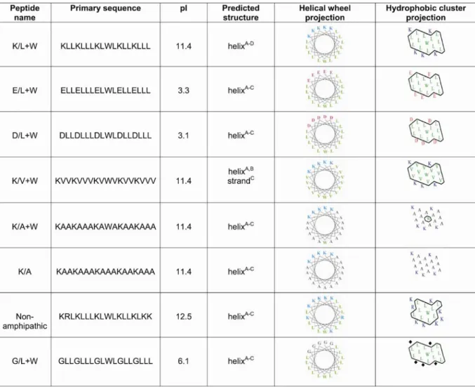 Table  2.2:  Biochemical  characteristics  of  the  synthetic  helices  tested  for  granule  sorting activity:  