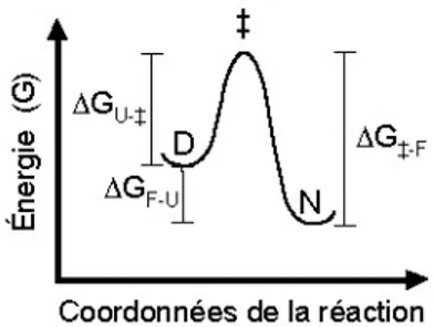 Figure 9. Diagramme d’énergie d’une réaction de repliement de type deux-états. 