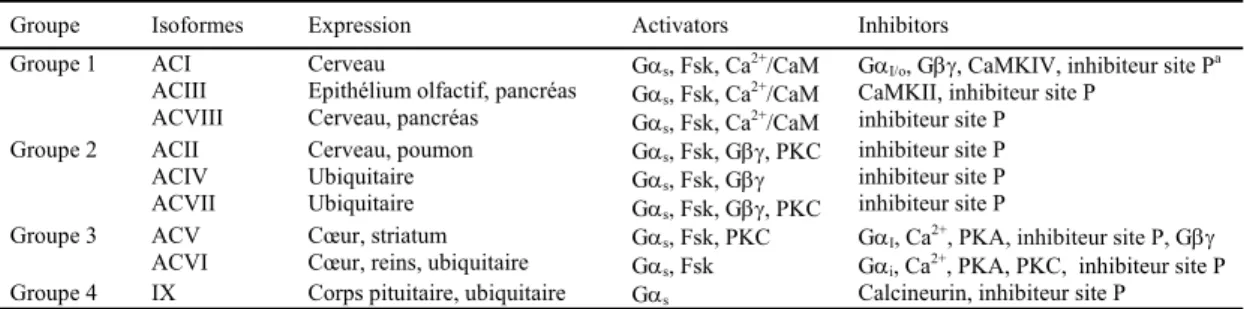Tableau 1. Expression et régulation de chacun des isoformes de la famille des adényl cyclases  