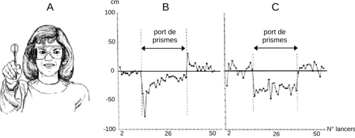 Figure 1 : Adaptation prismatique lors du lancer de fléchettes (A) chez des sujets sains (B) et cérébello-lésés 