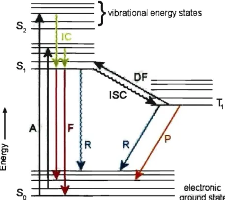Figure  2 . 1 :  Jablonski  diagram l l  