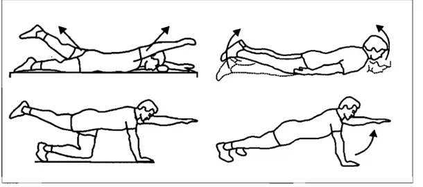 Figure 1.1.  Exercices pour les muscles spinaux faits  au  sol. 