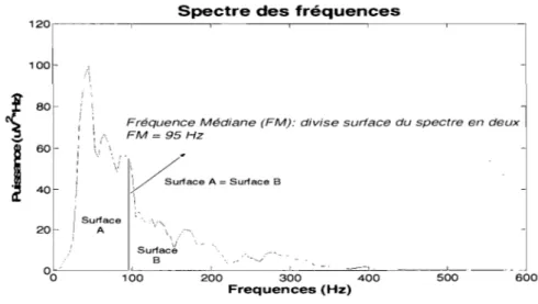 Figure 1.8.  Calcul de la fréquence  médiane (FM) du spectre de puissance 